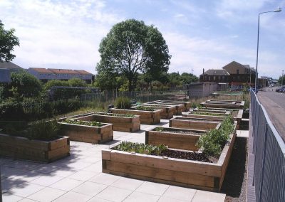 Urban Allotments | Glasgow