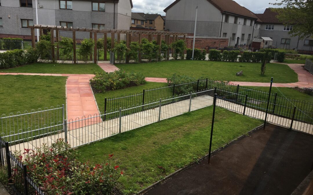 Backcourt Regeneration | Blairtummock Area 1